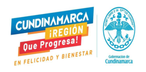 Captura de pantalla 2025-07-19 144034